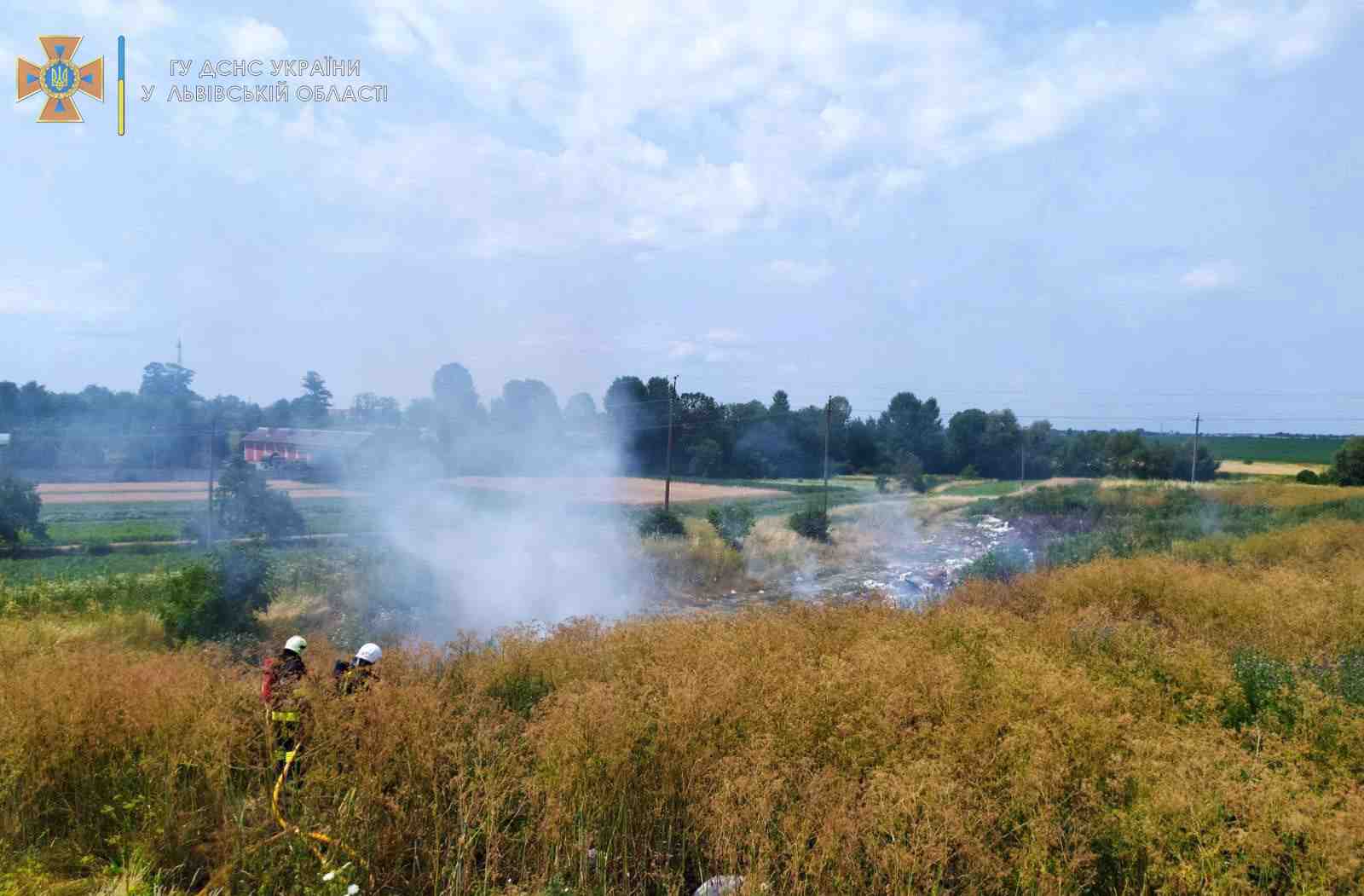 За добу на Львівщині згоріло 2 га сухої трави