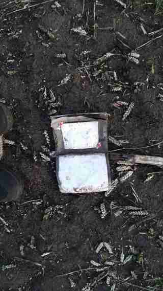Загинули  при самостійній евакуації: На Харківщині у полі знайдено 5 тіл людей (ФОТО)