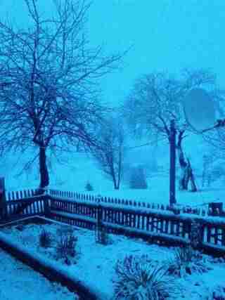 Захід України накрило снігом, у Карпатах вирує хуртовина (ФОТО, ВІДЕО)