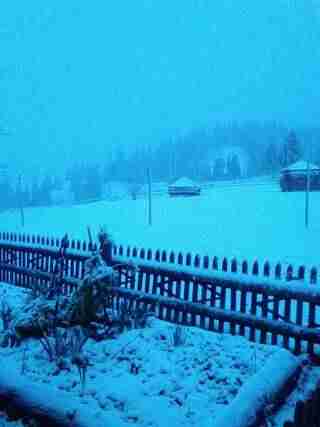 Захід України накрило снігом, у Карпатах вирує хуртовина (ФОТО, ВІДЕО)