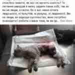 Залишили помирати на дорозі зі здертою шкірою: у Львові познущались з кота (фото 18+)