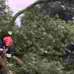 Затоплені подвір’я, поламані дерева: львівські рятувальники ліквідовували наслідки негоди у Червонограді (ФОТО)
