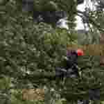 Затоплені подвір’я, поламані дерева: львівські рятувальники ліквідовували наслідки негоди у Червонограді (ФОТО)