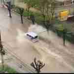 Затоплені вулиці, повалені дерева: у Чернівцях досі прибирають наслідки негоди (фото, відео)