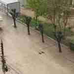 Затоплені вулиці, повалені дерева: у Чернівцях досі прибирають наслідки негоди (фото, відео)