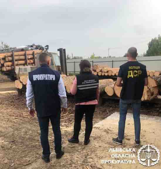 Затримано підприємців, які розкрадали деревину з національного парку на Львівщині (ФОТО)