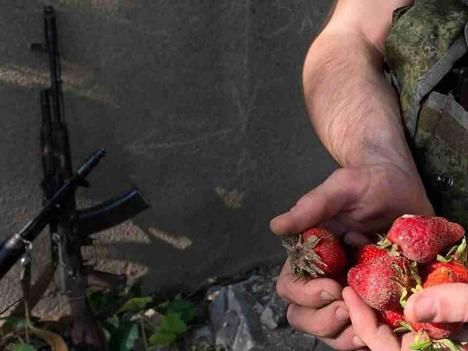 Збирають полуницю: на Херсонщині окупанти просяться на «заробітки»