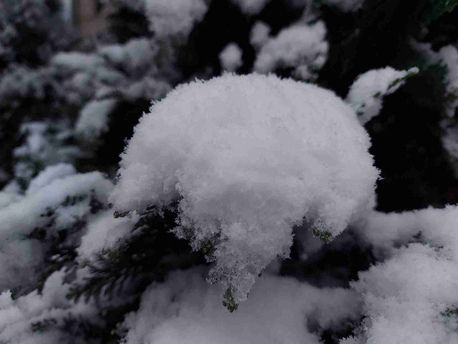 Зима у Львові: перший сніг та пейзажі міста (ФОТОРЕПОРТАЖ)