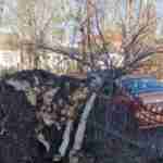 Зірвані дахи, поламані дерева, перевернуті зупинки: на Прикарпатті негода завдала лиха (фото)