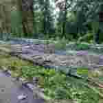 Зірвані дахи, пошкоджена пам’ятка архітектури, повалені дерева: у Кам’янці-Подільському негода наробила лиха (фото, відео)