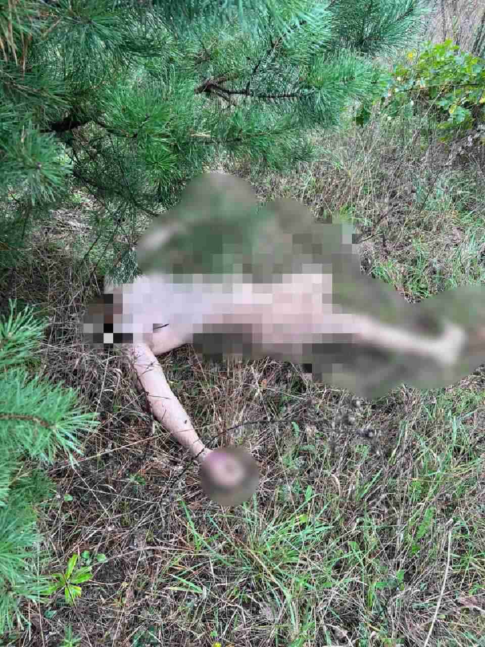 Знайшли голову хлопця: на Київщині розкрили резонансне вбивство та шокували подробицями (ФОТО18+)